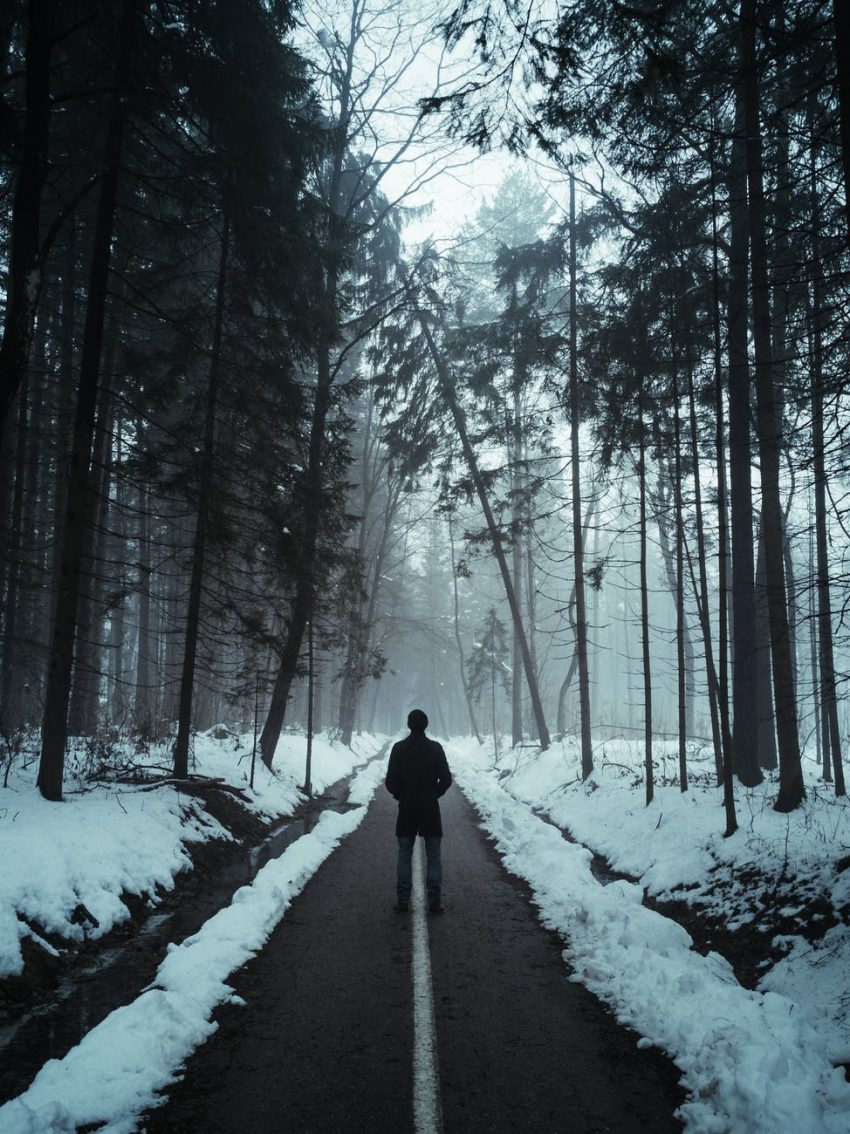 person in black jacket walking on snow covered pathway between trees