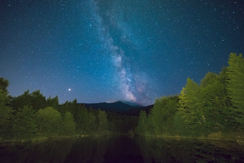 scenic view of trees beside a lake under night sky