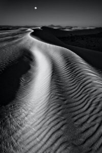 monochrome photo of desert